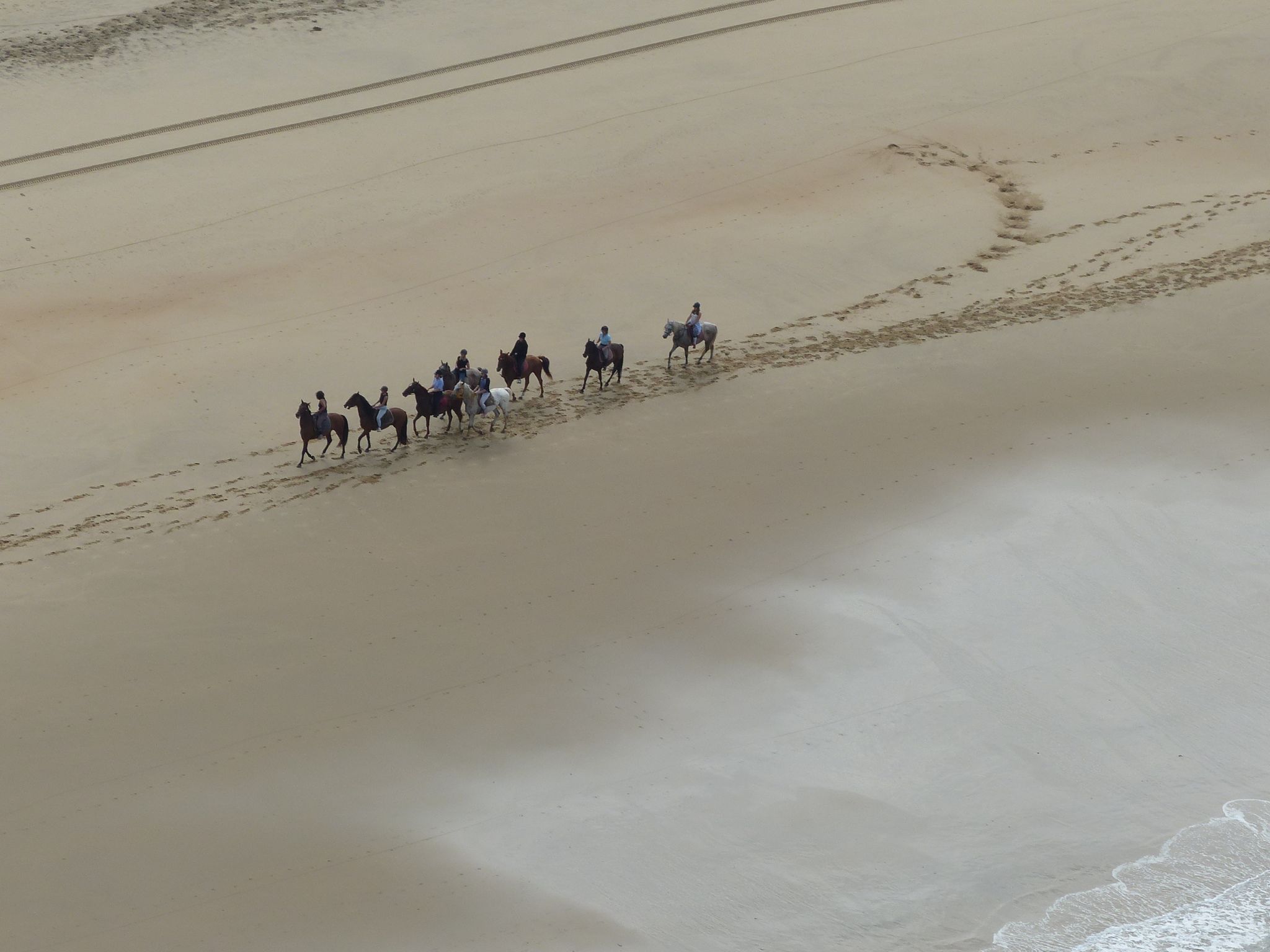  Chevaux sur la plage. P1180779